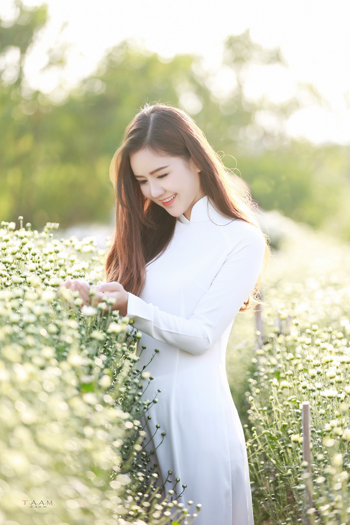 花溅泪秋决(全)